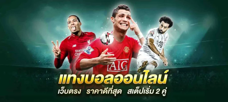 เทคนิคการสร้างรายได้จากการแทงบอลออนไลน์ ได้เงินจริงไม่จกตาอย่างแน่นอน